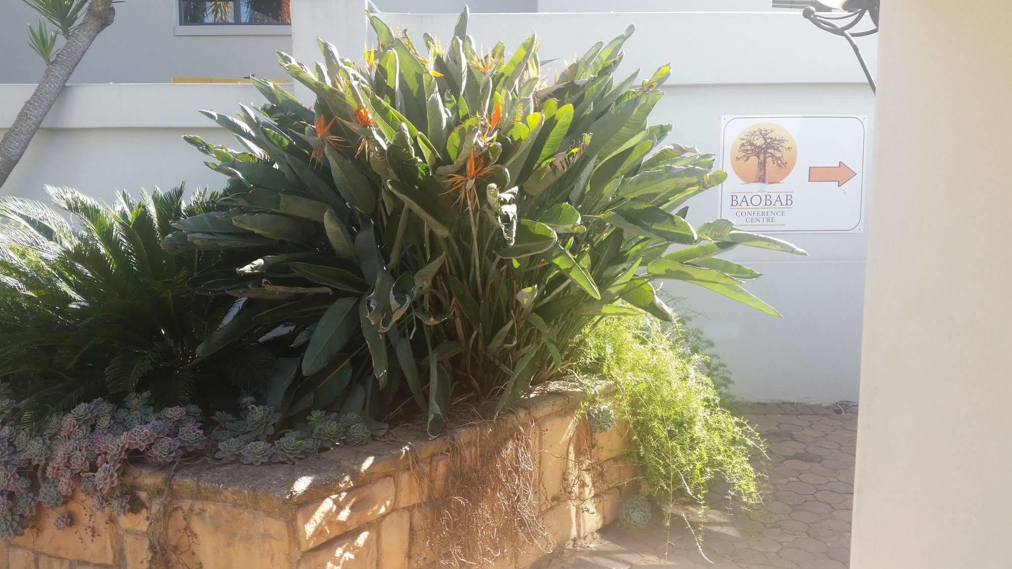 The Baobab Villa Midrand Exteriör bild